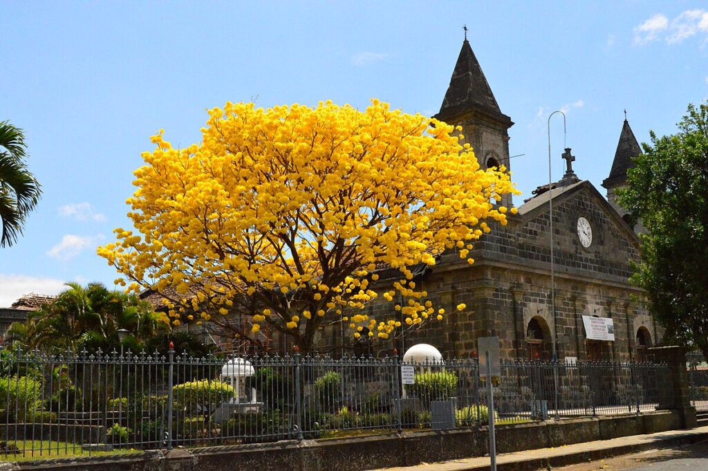 Historia Parroquia San Joaquín de Flores