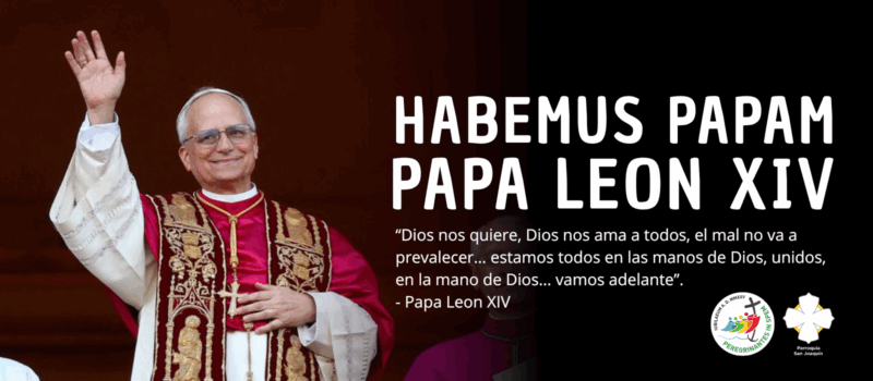 Portada del sitio web con el nuevo Papa Leon XIV