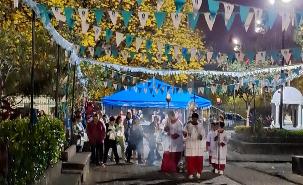 Procesión Virgen de Lourdes 2025